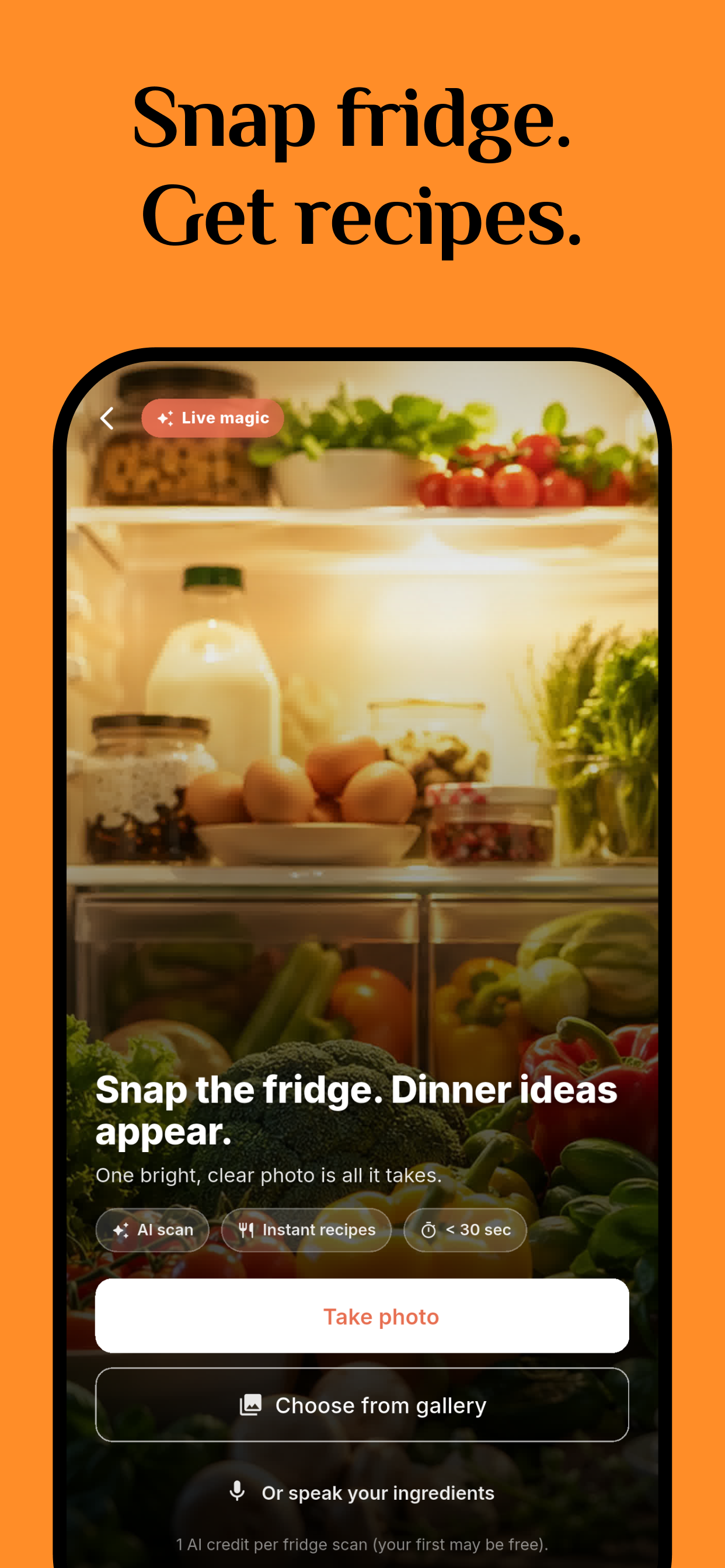 Magic Fridge camera scan